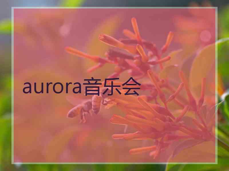 aurora音乐会