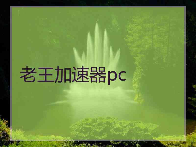 老王加速器pc