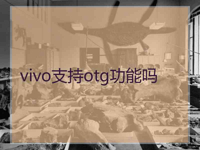 vivo支持otg功能吗