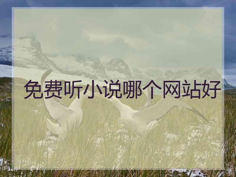 免费听小说哪个网站好