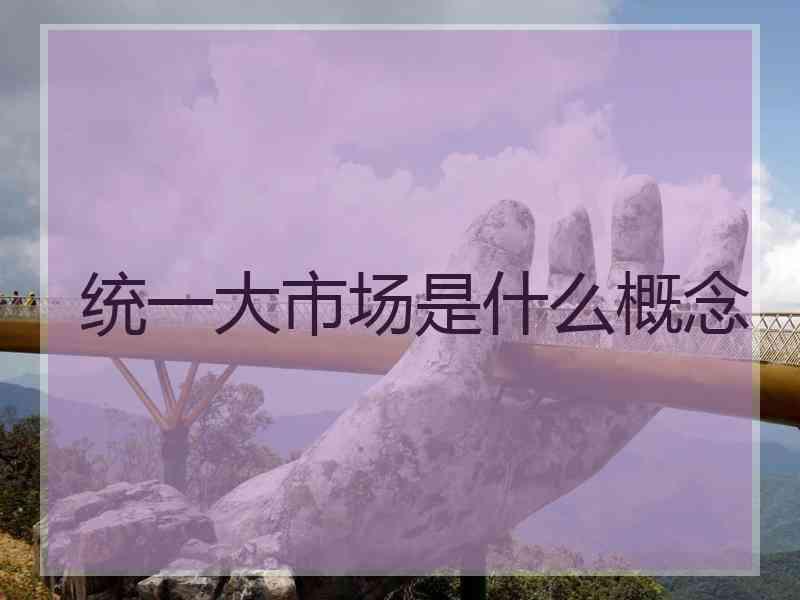 统一大市场是什么概念