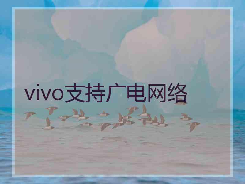 vivo支持广电网络