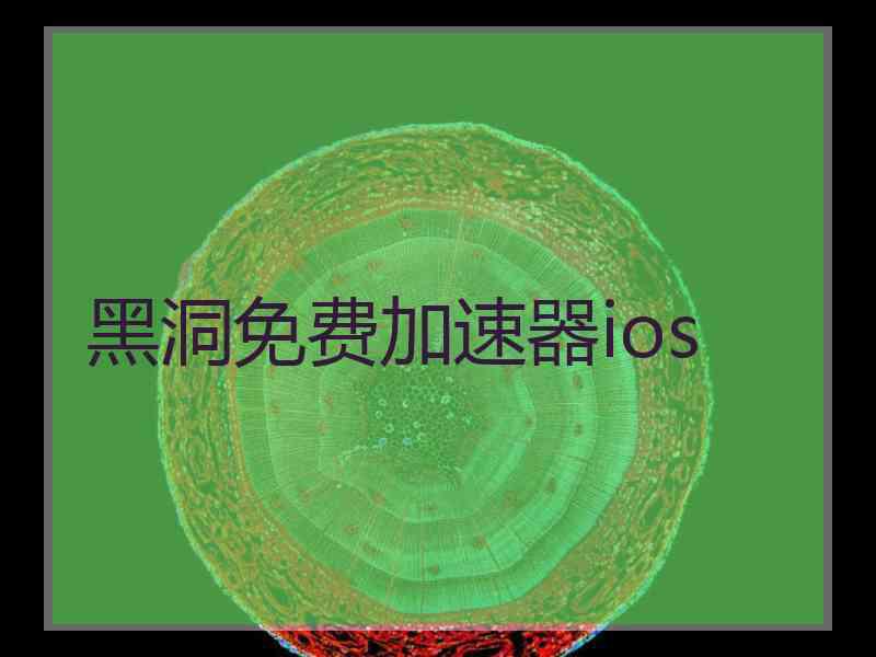 黑洞免费加速器ios