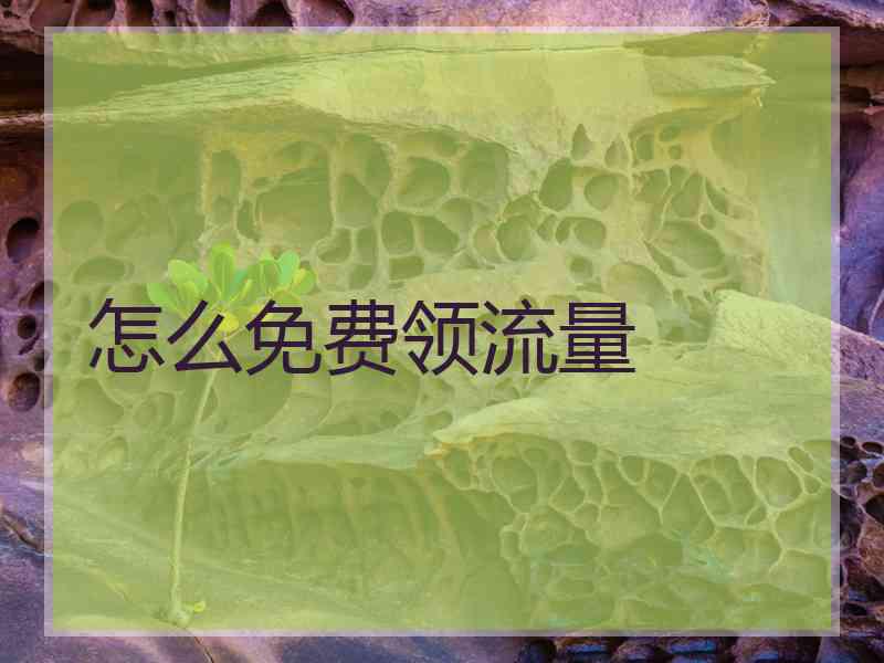 怎么免费领流量