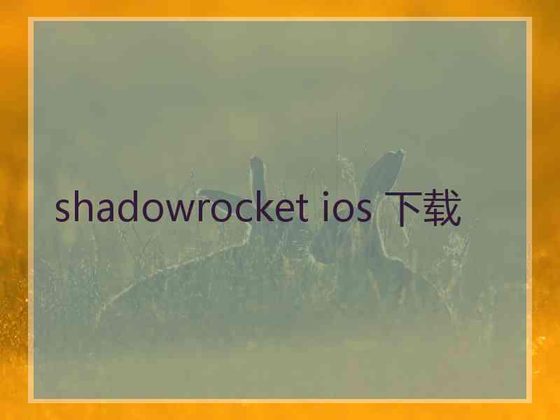 shadowrocket ios 下载