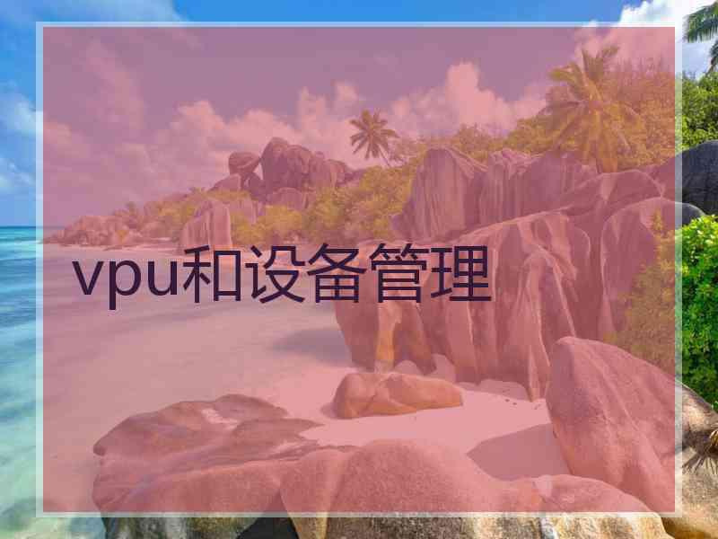 vpu和设备管理