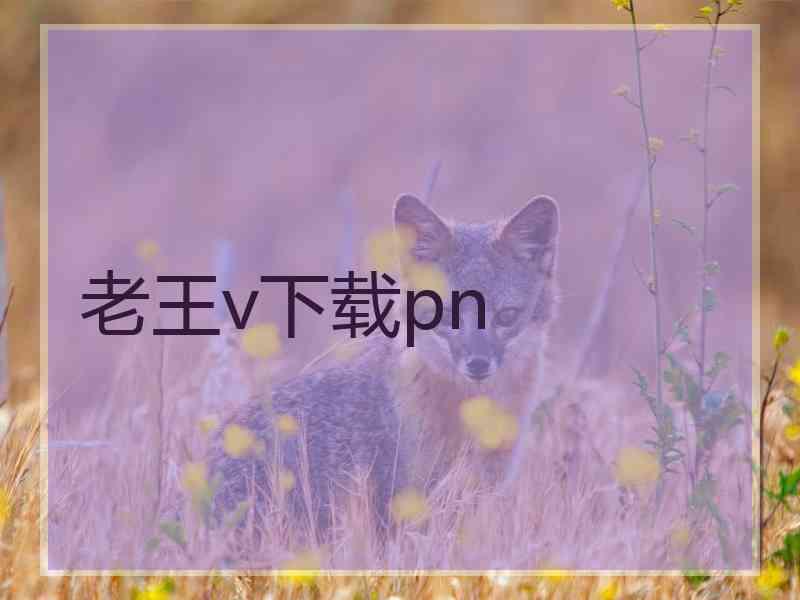 老王v下载pn