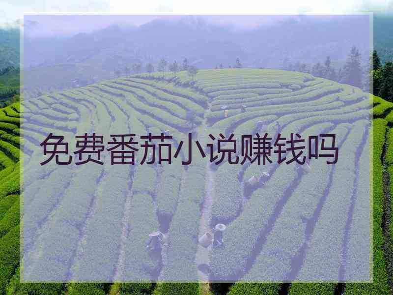 免费番茄小说赚钱吗