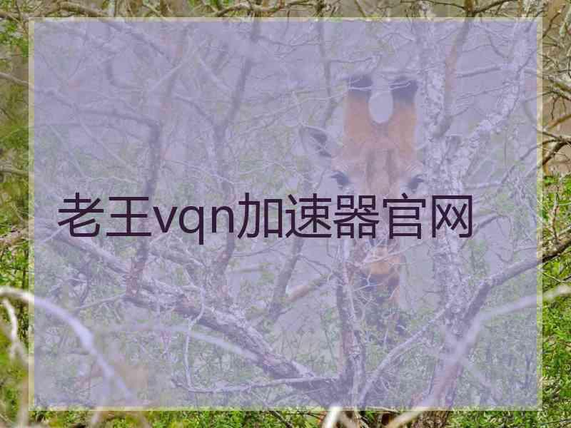 老王vqn加速器官网