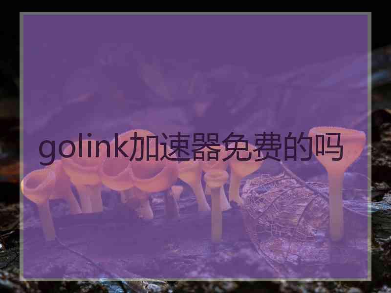 golink加速器免费的吗