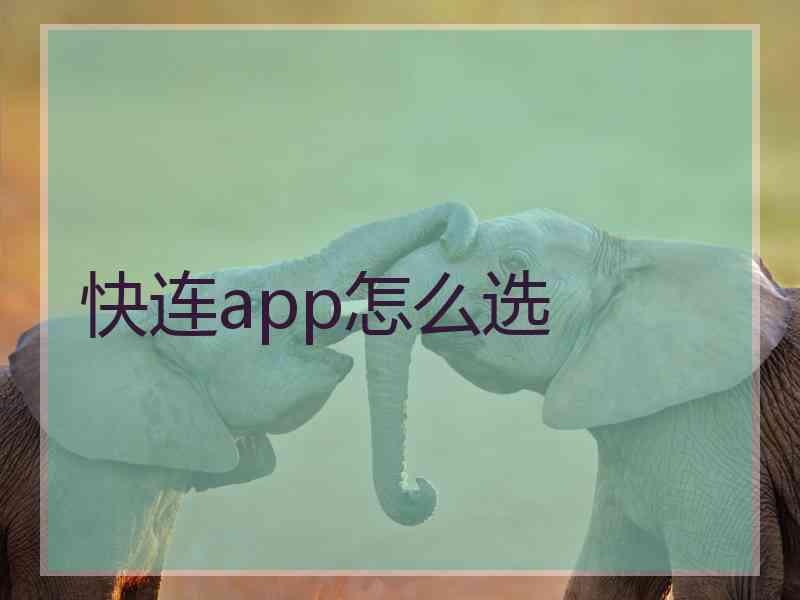 快连app怎么选