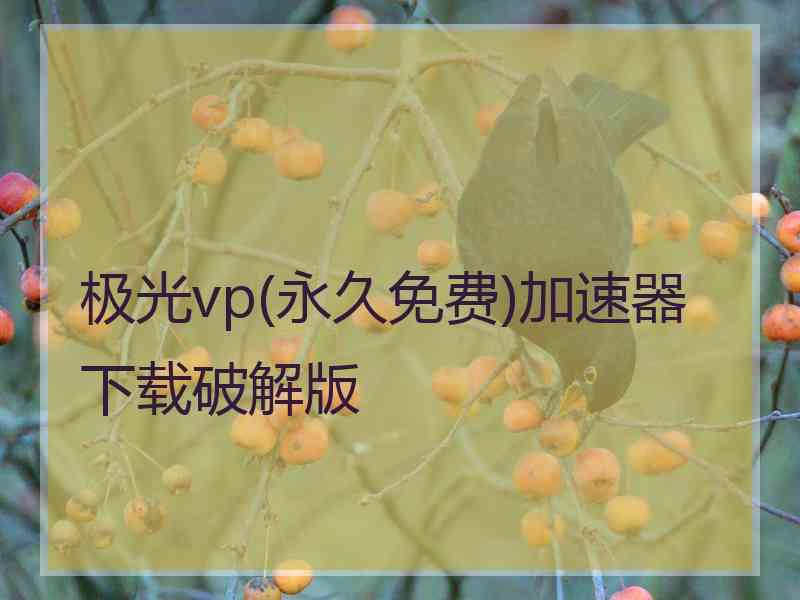 极光vp(永久免费)加速器下载破解版