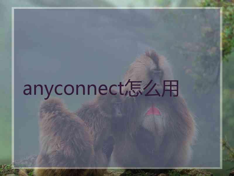 anyconnect怎么用