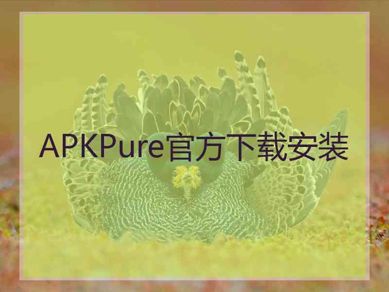 APKPure官方下载安装