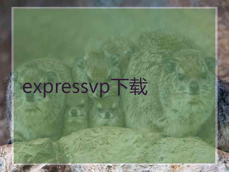 expressvp下载