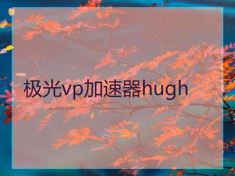 极光vp加速器hugh