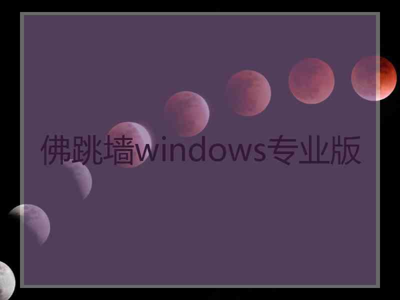 佛跳墙windows专业版