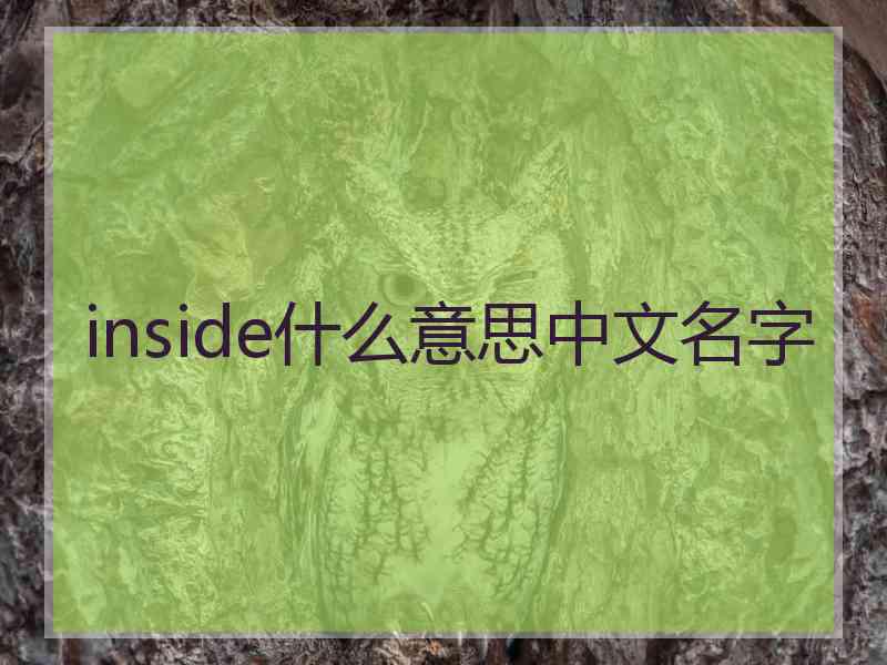 inside什么意思中文名字