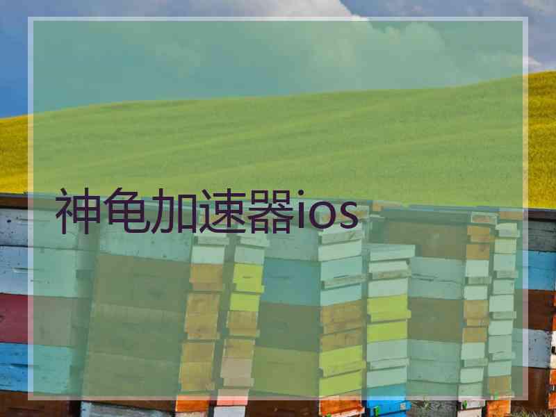 神龟加速器ios