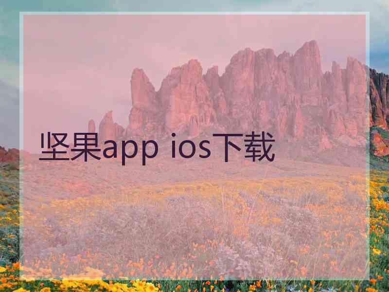 坚果app ios下载