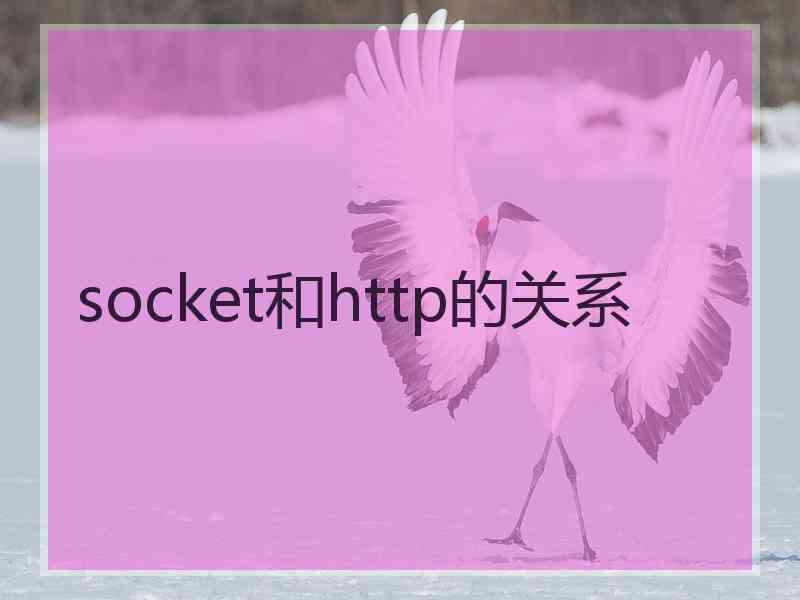 socket和http的关系