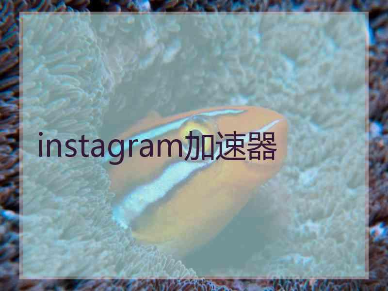 instagram加速器