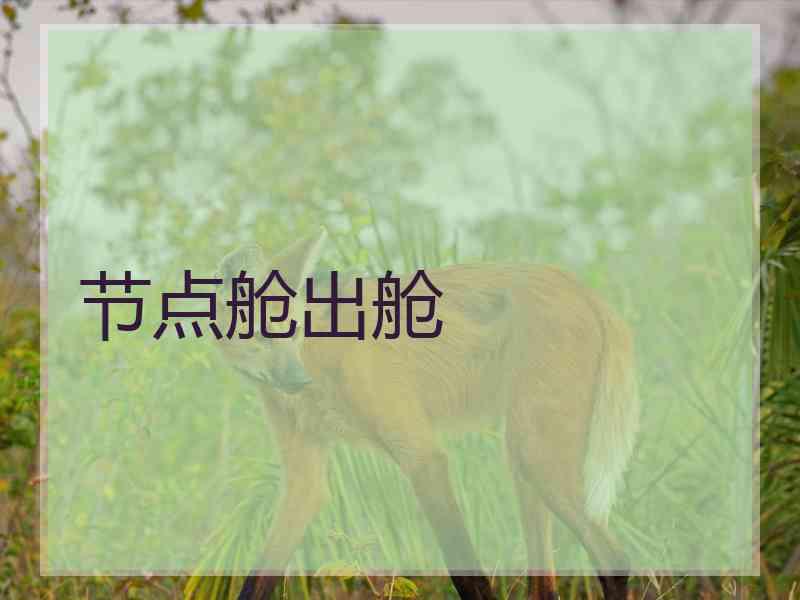 节点舱出舱