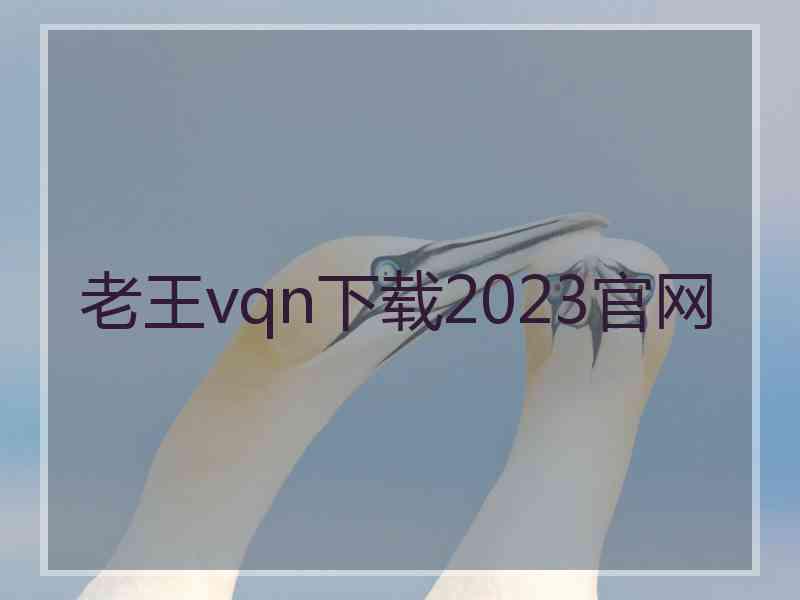 老王vqn下载2023官网