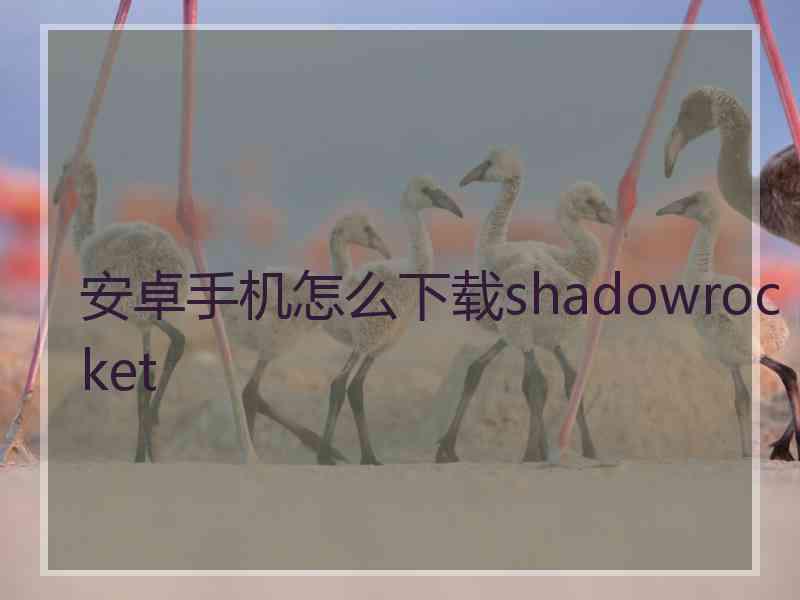 安卓手机怎么下载shadowrocket