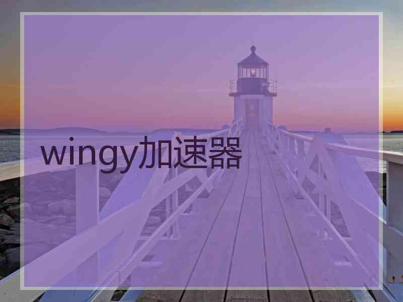 wingy加速器