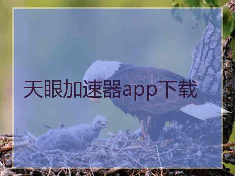 天眼加速器app下载