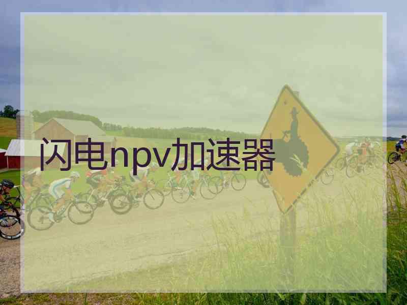 闪电npv加速器