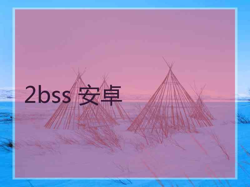 2bss 安卓