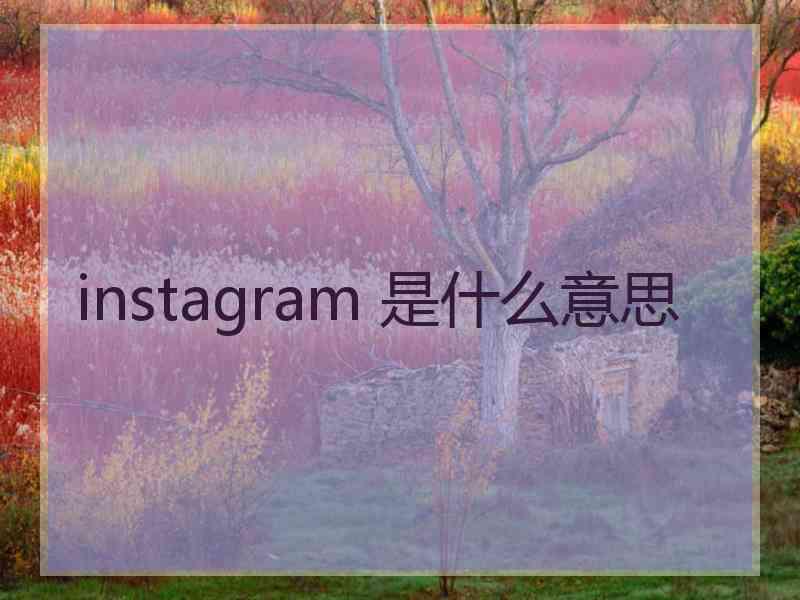 instagram 是什么意思