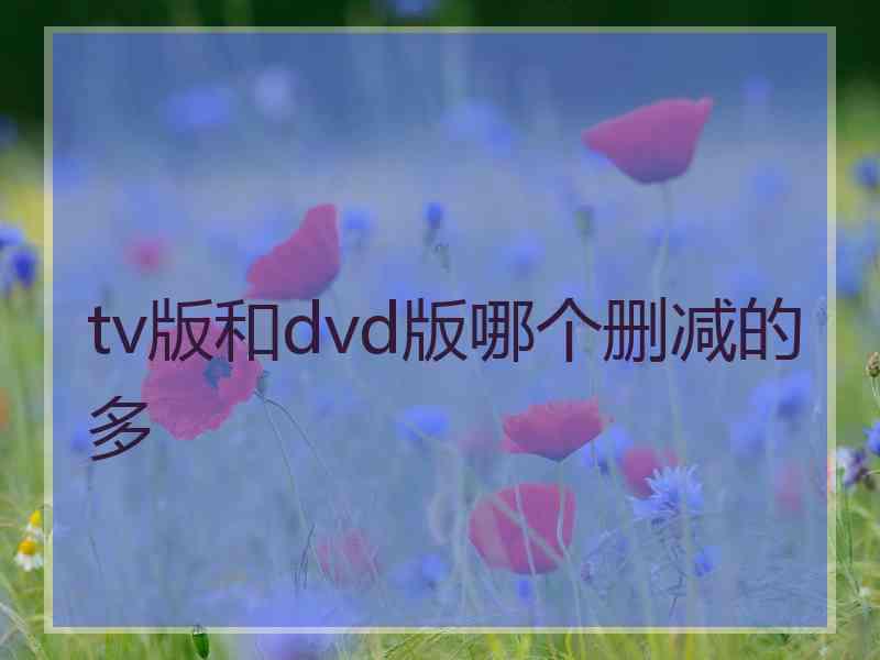 tv版和dvd版哪个删减的多