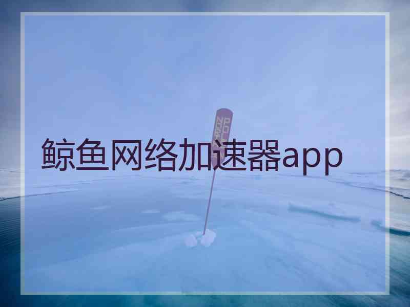 鲸鱼网络加速器app