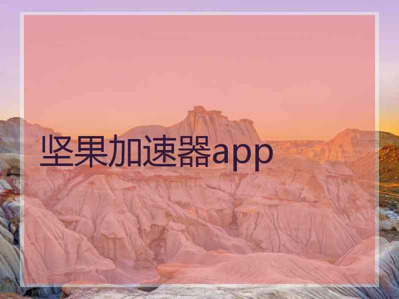 坚果加速器app