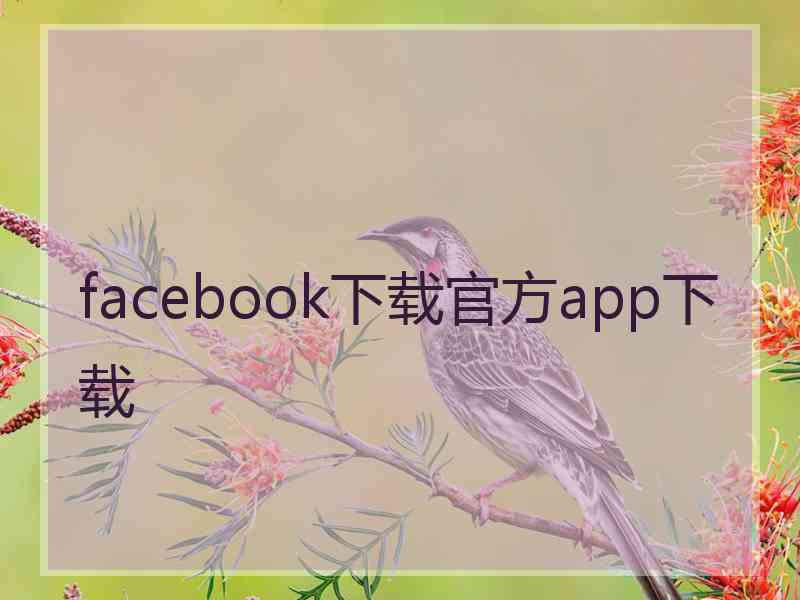 facebook下载官方app下载