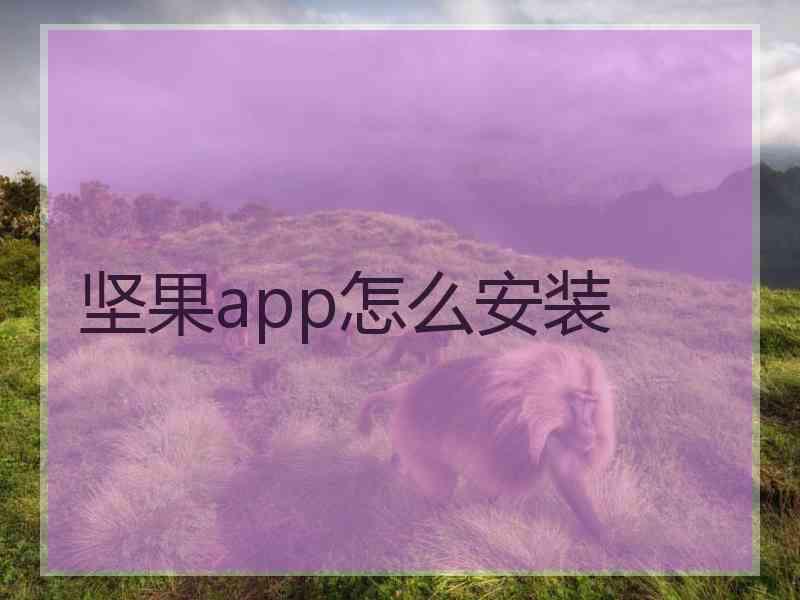 坚果app怎么安装