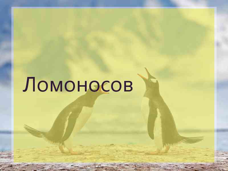 Ломоносов