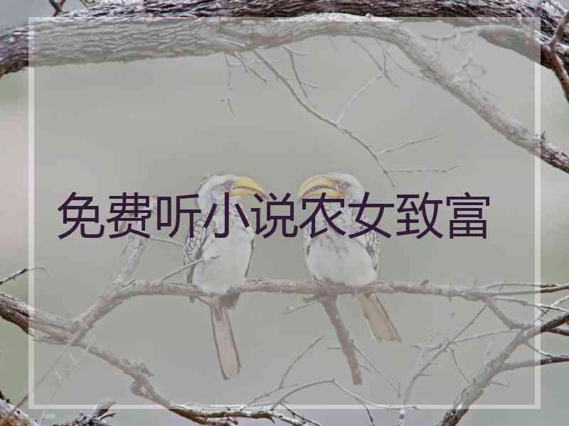 免费听小说农女致富