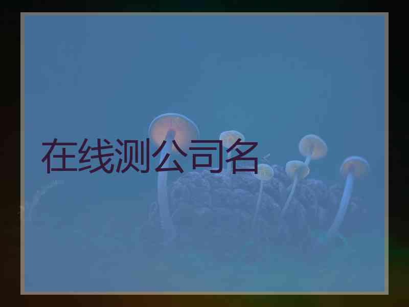 在线测公司名