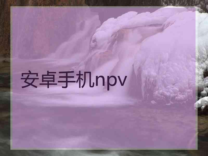 安卓手机npv