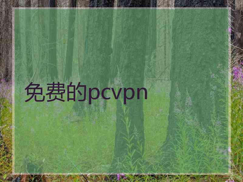 免费的pcvpn