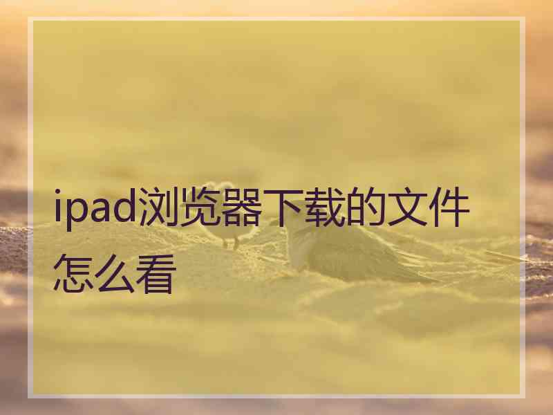 ipad浏览器下载的文件怎么看