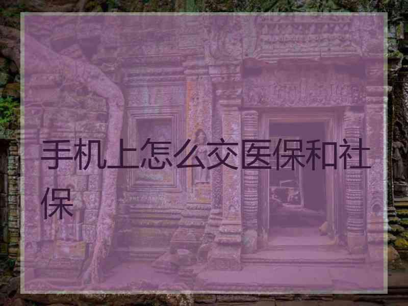 手机上怎么交医保和社保